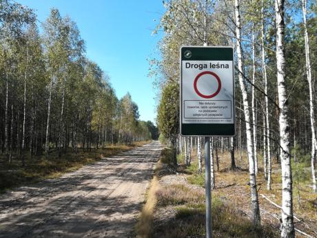 Czasowe wyłączenie drogi leśnej "Trakt Łowicki" z ruchu publicznego