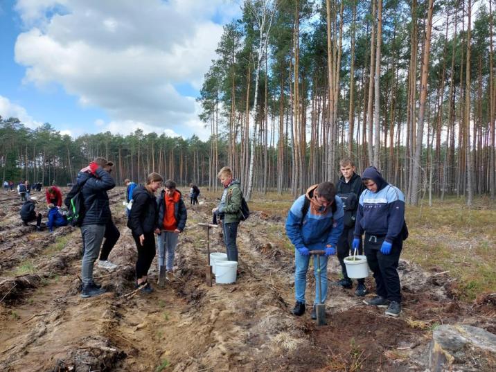 Zdjęcie prezentuje młodzież szkolną na powierzchni zrębowej w czasie sadzenia młodych drzewek. W tle starodrzew.