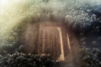 Submisja, fot. Paweł Jach