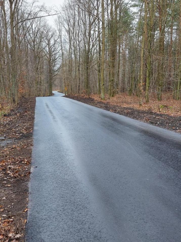 Fot&#x2e;&#x20;Zdjęcie&#x20;leśnej&#x20;drogi&#x20;asfaltowej