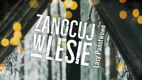 Zanocuj w lesie - MAMY tO!